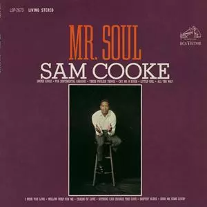 MR. SOUL/SAM COOKE/サム・クック｜SOUL/BLUES/GOSPEL｜ディスク