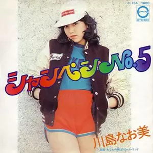 Lilys In the Presence of Nothing 限定LP In The Presence of Nothing | Lilys