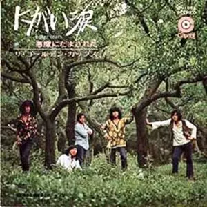 にがい涙/THE GOLDEN CUPS/ザ・ゴールデン・カップス｜日本のロック