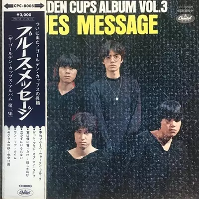 2discs LP 静岡ロックンロール組合 永久保存盤 PLP78289 P-VINE /00660 静岡ロックンロール組合『永久保存盤』2LP