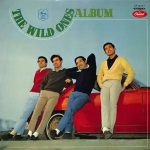 THE WILD ONES / ザ・ワイルド・ワンズ / ワイルド・ワンズ・アルバム