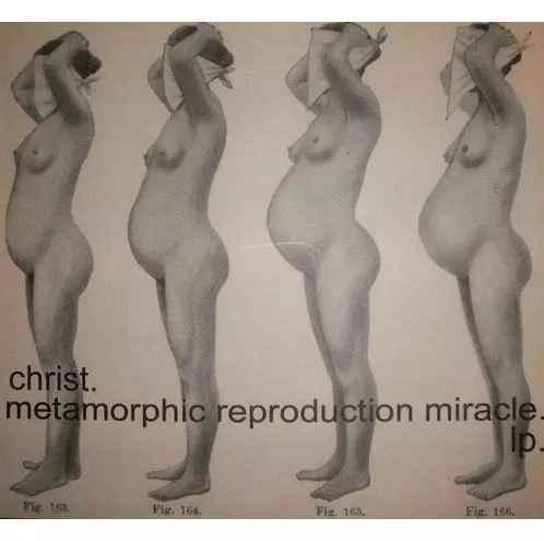 CHRIST. / METAMORPHIC REPRODUCTION MIRACLE