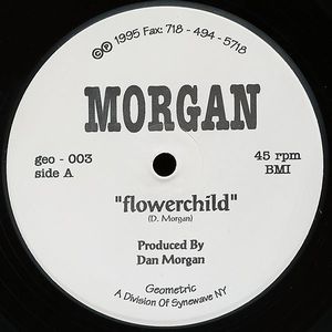 DAN MORGAN & DAMON WILD / FLOWERCHILD / AVION