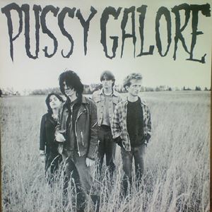 PUSSY GALORE / プッシー・ガロア / GROOVY HATE FUCK