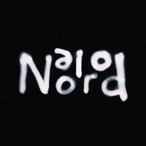 NORDPOLEN / VI AR MANGA SOM AR VAKNA I NATT (LP)