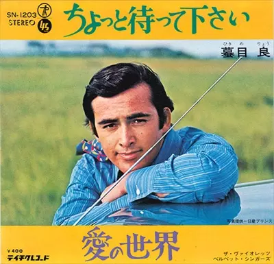 ちょっと待って下さい/RYO HIKIME/蟇目良｜日本のロック