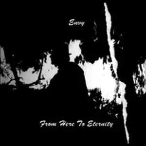 ENVY / From Here to Eternity レコードLP新品未使用 ENVY / FROM HERE TO ETERNITY – TICRO MARKET
