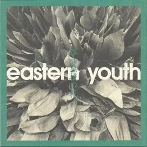 EASTERN YOUTH レコード　極美品 Yahoo!オークション -「イースタンユース eastern youth」(レコード