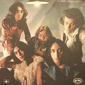 FLAMIN' GROOVIES / フレイミン・グルーヴィーズ / フラミンゴ