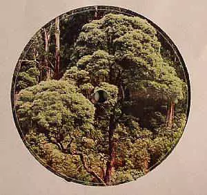 ALBRECHT LA'BROOY / GOOD MORNING PASSENGERS