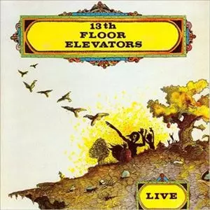 13TH FLOOR ELEVATORS / サーティーンス・フロア・エレヴェーターズ / ELEVATORS LIVE!