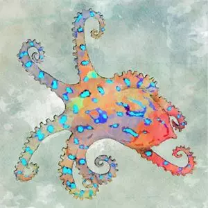 ドミコ　わお、だいびんぐCD わお、だいびんぐ/domico/ドミコ｜日本のロック｜ディスクユニオン