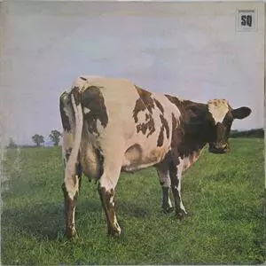ピンク・フロイド ATOM HEART MOTHER Amazon.com: Atom Heart Mother: 0724383124626: Pink Floyd: Books
