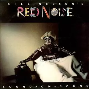 BILL NELSON'S RED NOISE / ビル・ネルソンズ・レッド・ノイズ / SOUND ON SOUND