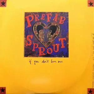 IF YOU DON'T LOVE ME/PREFAB SPROUT/プリファブ・スプラウト｜ROCK