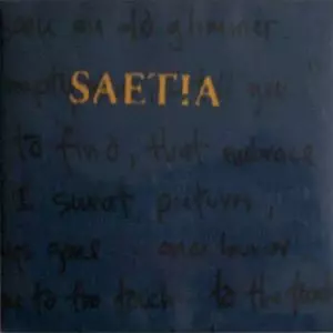 【レア盤】Saetia – A Retrospective CD SAETIA / セイシャ商品一覧｜PUNK｜ディスクユニオン