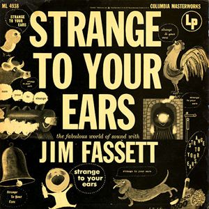 JIM FASSETT / ジム・ファセット / STRANGE TO YOUR EARS
