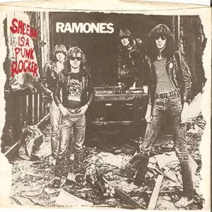 (未使用･未開封品)Sheena Is a Punkrocker [DVD] SHEENA IS A PUNK ROCKER/RAMONES/ラモーンズ｜PUNK｜ディスクユニオン