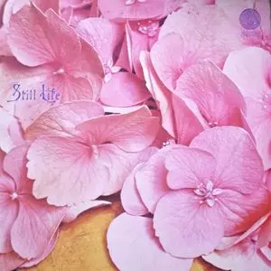 STILL LIFE / スティル・ライフ商品一覧｜PROGRESSIVE ROCK