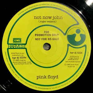 PINK FLOYD / ピンク・フロイド / NOT NOW JOHN