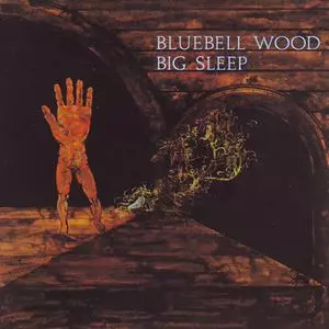 BIG SLEEP / ビッグ・スリープ / BLUEBELL WOOD