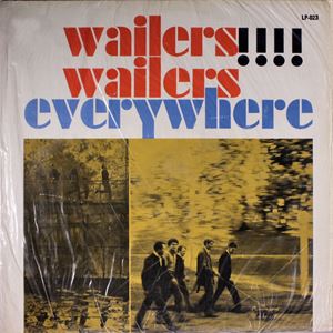 WAILERS (US ROCK) / ウェイラーズ (US ROCK) / EVERYWHERE
