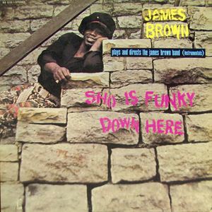JAMES BROWN / ジェームス・ブラウン / SHO IS FUNKY DOWN HERE