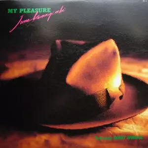 JUNJI YAMAGISHI / 山岸潤史 / MY PLEASURE