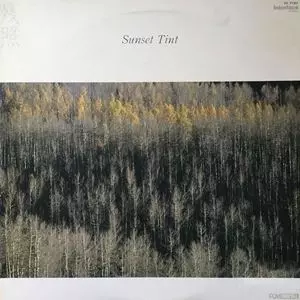 奥慶一 Keiichi Oku　Sunset Tint　LPレコード SUNSET TINT/KEIICHI OKU/奥慶一｜NOISE / AVANT-GARDE｜ディスク