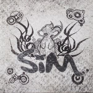 PAINT SKY BLUE/SiM (JPN/PUNK)｜PUNK｜ディスクユニオン・オンライン 