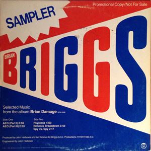 BRIAN BRIGGS / SPECIAL SAMPLER: SELECTED MUSIC FROM THE ALBUM BRIAN DAMAGE