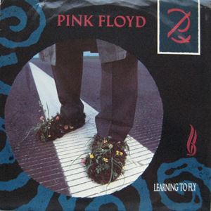 PINK FLOYD / ピンク・フロイド / LEARNING TO FLY