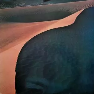 SAM MORRISON / サム・モリソン / 砂丘