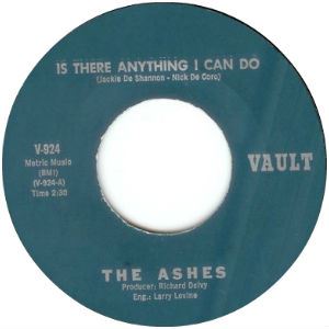 ASHES / アッシーズ / IS THERE ANYTHING I CAN DO
