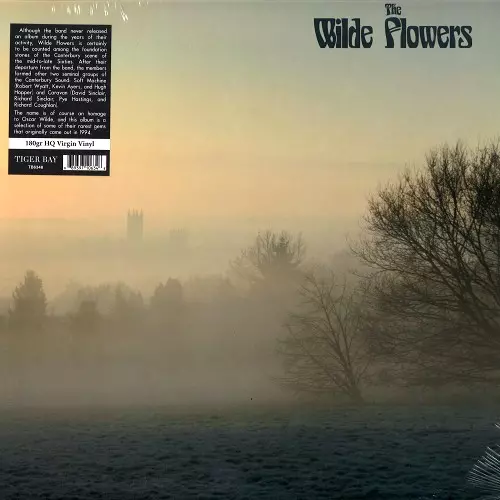 WILDE FLOWERS / ワイルド・フラワーズ / THE WILDE FLOWERS - 180g LIMITED VINYL/REMASTER