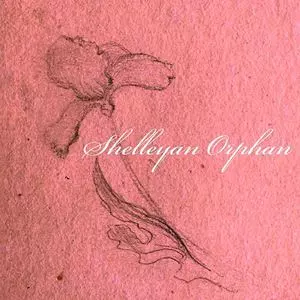 Shelleyan Orphan レコード 2枚 Shelleyan Orphan レコード 2枚 GW廃盤】TELECTU、L'ENSEMBLE
