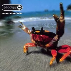 PRODIGY / プロディジー / FAT OF THE LAND