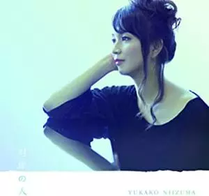 YUKAKO NIIZUMA / 新妻由佳子 / 対岸の人