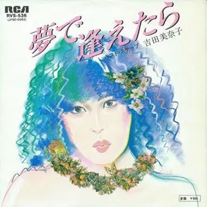 吉田美奈子「夢で逢えたら」希少シングルレコードRVS-536オリジナル盤 夢で逢えたら/MINAKO YOSHIDA/吉田美奈子｜日本のロック｜ディスク