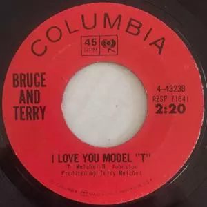 BRUCE & TERRY / ブルース&テリー / I LOVE YOU MODEL T