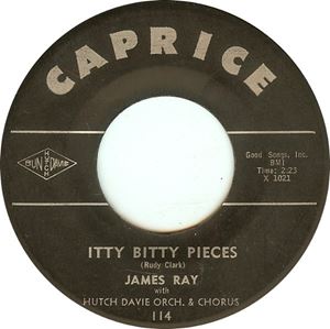 JAMES RAY / ジェームス・レイ / ITTY BITTY PIECES