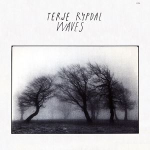 TERJE RYPDAL / テリエ・リピタル / WAVES