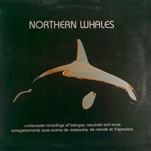 V.A.  / オムニバス / NORTHERN WHALES