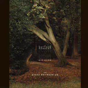 MATTHEW HERBERT BIG BAND / マシュー・ハーバート・ビッグバンド / STATE BETWEEN US