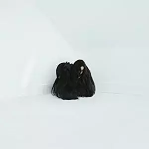 CHELSEA WOLFE / チェルシー・ウルフ / HISS SPUN (LP)