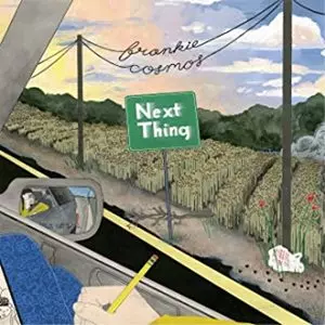 FRANKIE COSMOS / フランキー・コスモス / NEXT THING(ORANGE SKY VINYL)