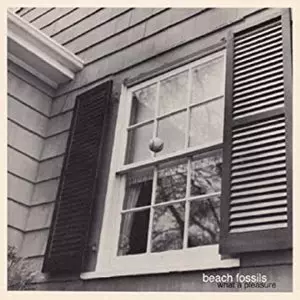 BEACH FOSSILS / ビーチ・フォッシルズ / WHAT A PLEASURE