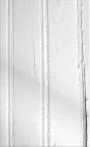 BEACH FOSSILS / ビーチ・フォッシルズ / BEACH FOSSILS