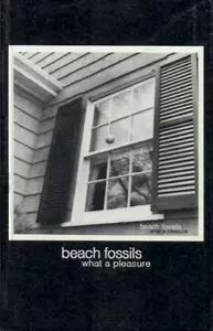 BEACH FOSSILS / ビーチ・フォッシルズ / WHAT A PLEASURE