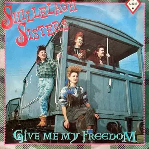 激レア盤 レコード Shillelagh Sisters 女性 ネオロカビリー 激レア盤 レコード Shillelagh Sisters 女性 ネオロカビリー